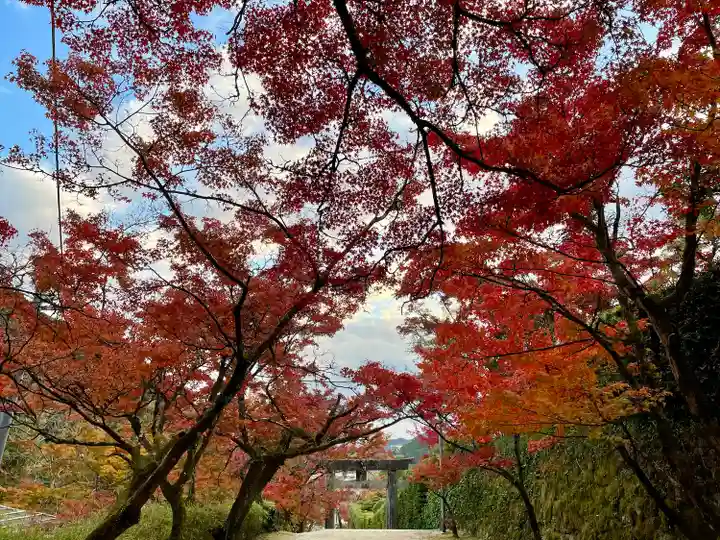 仁比山神社(佐賀県)