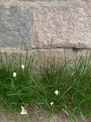法安寺(大阪府)