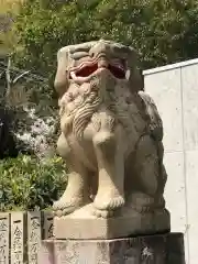 徳島眉山天神社の狛犬