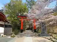 宇治上神社の鳥居
