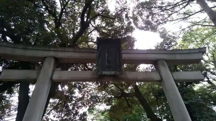 赤坂氷川神社の鳥居