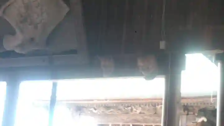 闇無浜神社の本殿・本堂