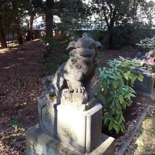 八雲氷川神社の狛犬