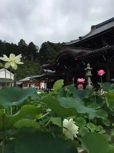 三室戸寺の本殿・本堂