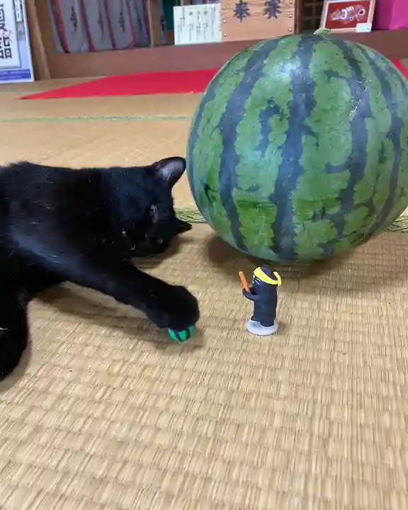 高司神社〜むすびの神の鎮まる社〜(福島県)