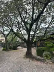 東日寺(三重県)