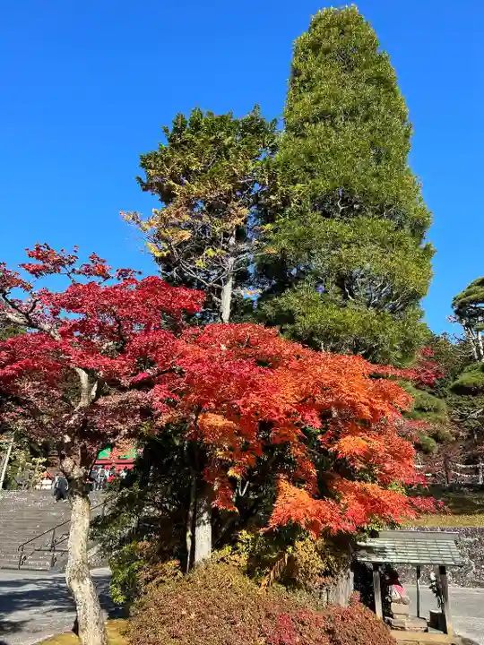 日光山輪王寺三仏堂の周辺