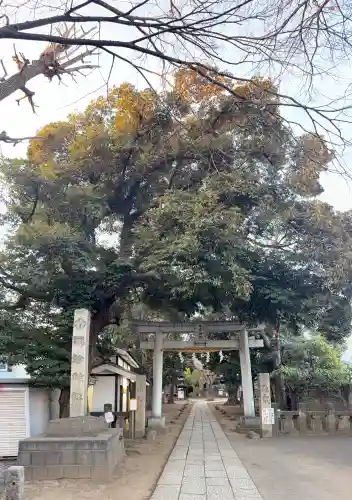 諏方神社の{uncategorized: "未分類", other: "その他", undefined: "問題あり", building: "その他建物", grave: "お墓", sacred_gate: "鳥居", guardian: "狛犬", statue: "像", buddha: "仏像", history: "歴史", nature: "自然", garden: "庭園", animal: "動物", pagoda: "塔", temizu: "手水舎", mountain_gate: "山門・神門", sanctuary: "本殿・本堂", subordinate: "末社・摂社", art: "芸術", scenery: "景色", jizo: "地蔵", ema: "絵馬", goshuin: "御朱印", omikuji: "おみくじ", items: "授与品その他", amulet: "お守り", goshuincho: "御朱印帳", eats: "食事", festival: "お祭り", votive_dance: "神楽", shichigosan: "七五三参", wedding: "結婚式", experience: "体験その他", initially: "初詣", around: "周辺", anti_infection: "感染症対策"}