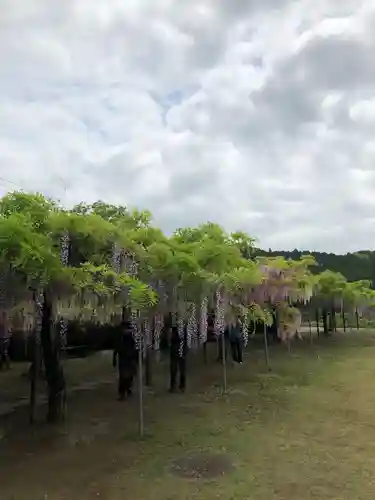 和気神社の自然