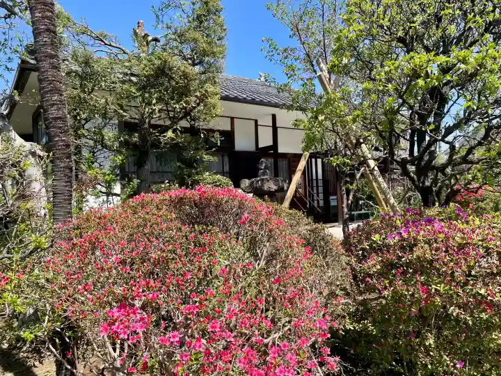 正法寺の{uncategorized: "未分類", other: "その他", undefined: "問題あり", building: "その他建物", grave: "お墓", sacred_gate: "鳥居", guardian: "狛犬", statue: "像", buddha: "仏像", history: "歴史", nature: "自然", garden: "庭園", animal: "動物", pagoda: "塔", temizu: "手水舎", mountain_gate: "山門・神門", sanctuary: "本殿・本堂", subordinate: "末社・摂社", art: "芸術", scenery: "景色", jizo: "地蔵", ema: "絵馬", goshuin: "御朱印", omikuji: "おみくじ", items: "授与品その他", amulet: "お守り", goshuincho: "御朱印帳", eats: "食事", festival: "お祭り", votive_dance: "神楽", shichigosan: "七五三参", wedding: "結婚式", experience: "体験その他", initially: "初詣", around: "周辺", anti_infection: "感染症対策"}