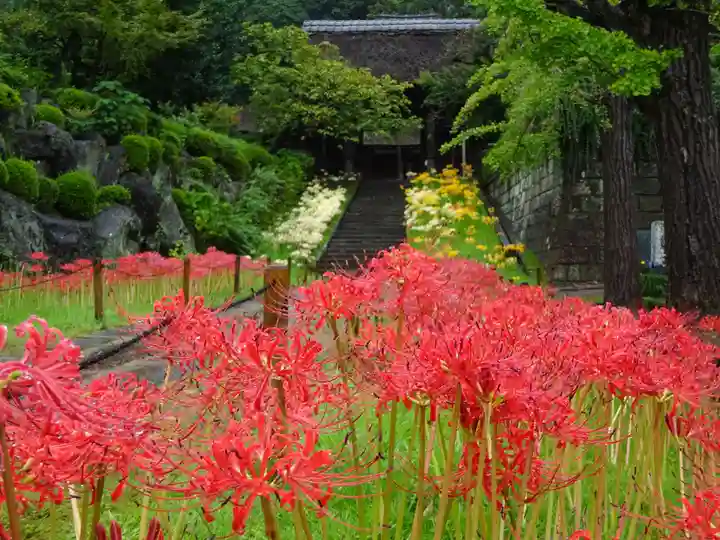 横浜 西方寺の自然