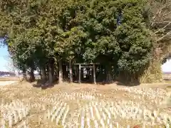 稲荷神社の鳥居