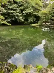 富士山本宮浅間大社(静岡県)