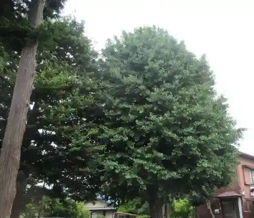 岡村天満宮(神奈川県)