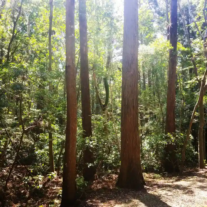 鹿島神宮の自然