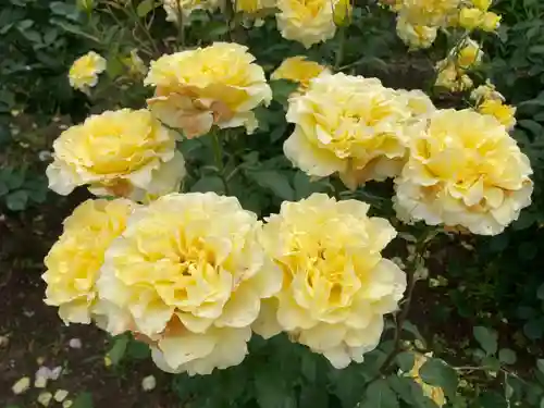 霊山寺(奈良県)