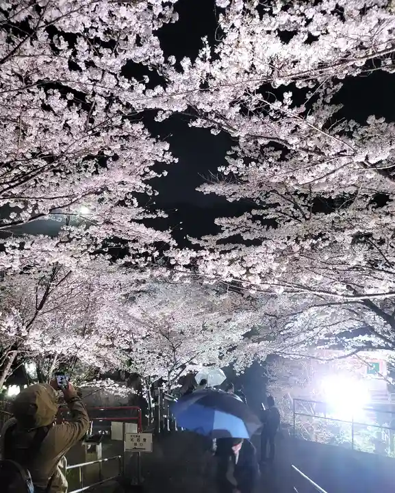 南法華寺(壷阪寺)(奈良県)