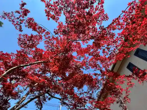 白毫寺熊野権現社(兵庫県)