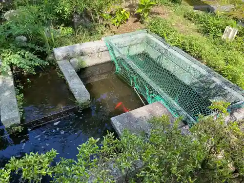 眞照寺(東京都)