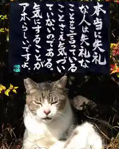 専念寺(大阪府)(2022年12月09日(金) 17時03分37秒投稿)