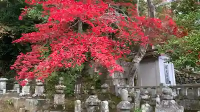 二尊院(京都府)