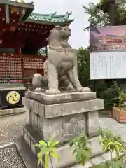 神田神社（神田明神）の狛犬