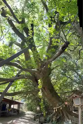 八大龍王水神(宮崎県)