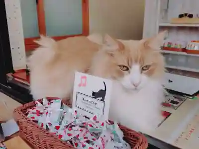 駒込妙義神社(東京都)