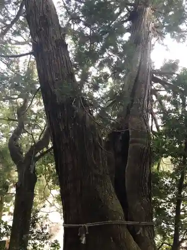 高岡神社の建物その他