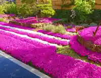 寿量山 速成寺(奈良県)