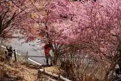 楽法寺（雨引観音）の自然