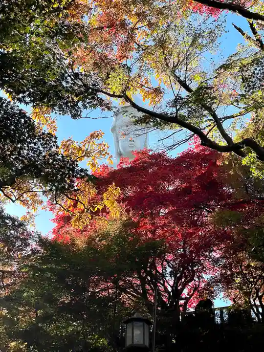 観音山慈眼院(高崎観音)(群馬県)