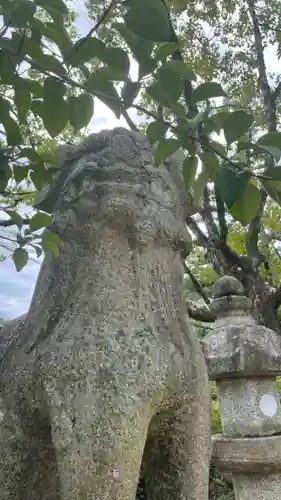 美具久留御魂神社の狛犬