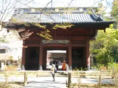 妙本寺の山門・神門