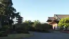 東寺（教王護国寺）の庭園