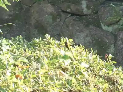 速谷神社(広島県)
