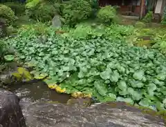 上杉神社(山形県)