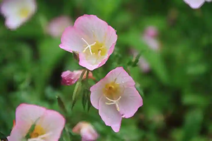 阿邪訶根神社の周辺