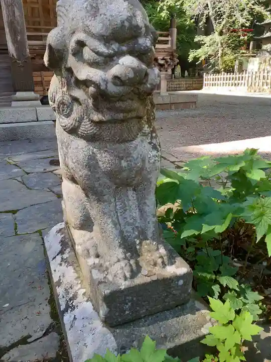 横山不動尊の狛犬