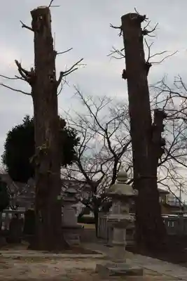 内間木神社(埼玉県)