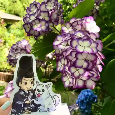 明月院(神奈川県)