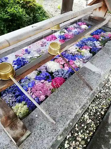 豊景神社の手水