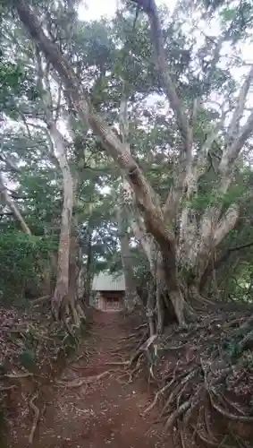 塩釜神社の建物その他