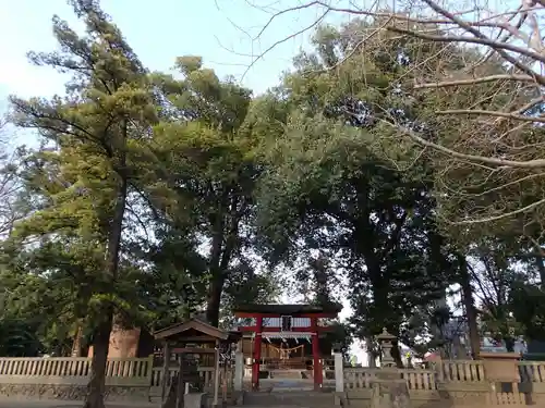 今城青坂稲実池上神社の自然