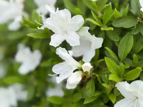 西方山極楽寺(岐阜県)