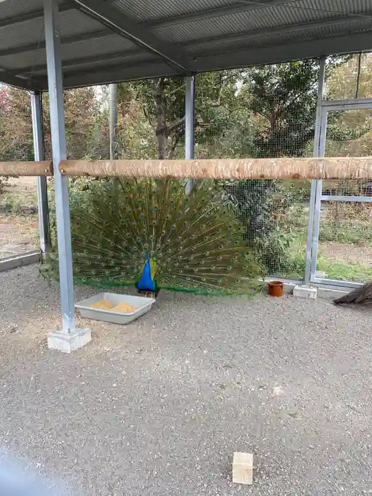 進雄神社(群馬県)