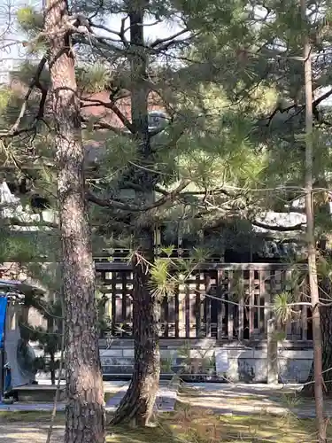 大徳寺(京都府)