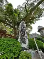 青岸渡寺(和歌山県)