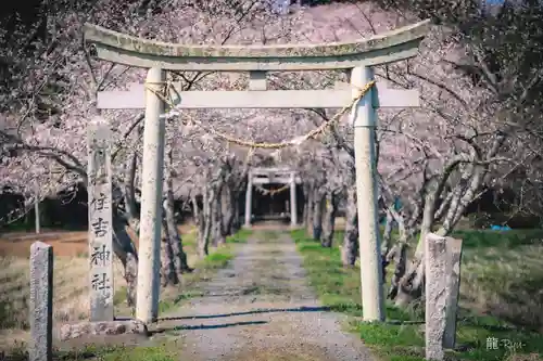 住吉神社(宮城県)