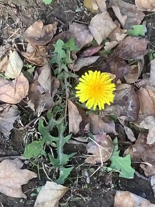 音楽寺(愛知県)